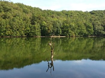 Tour Wandern Pampelonne - Fontbonne  autour du barrage - Photo