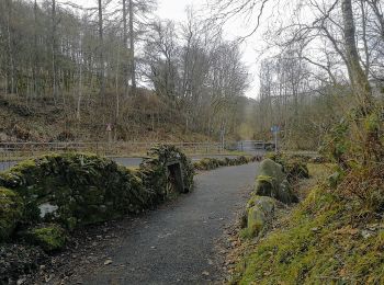 Tour Zu Fuß  - Coilhallan wood - Photo