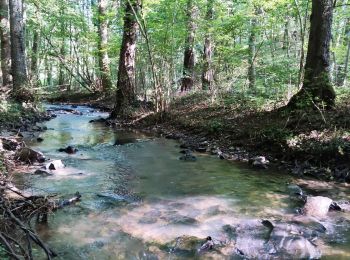 Trail Walking Nandrin - Promenade de la Rochette - Photo