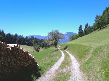 Tour Zu Fuß Gemeinde Scheffau am Wilden Kaiser - Wanderweg 57 - Wilder Kaiser - Photo