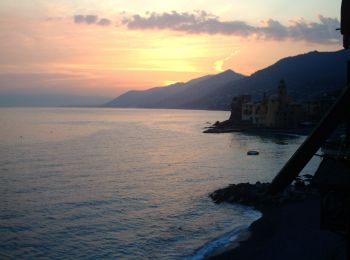 Tocht Te voet Camogli - Camogli - San Rocco - Pietre Strette - San Fruttuoso - Photo