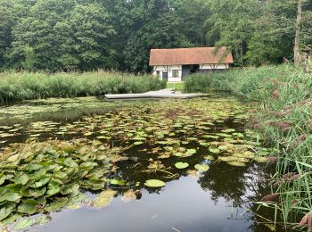 Excursión Senderismo Sint-Truiden - Le domaine Nieuwenhoven à Saint-Trond - Photo