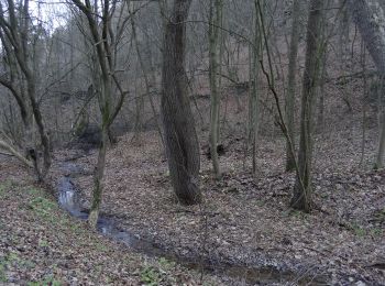 Tocht Te voet Kosoř - NS Černá rokle - Kosoř - Photo