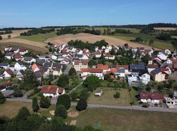 Randonnée A pied Meckesheim - Rundwanderweg Mönchzell Sportplatz 3: Kloster-Weg - Photo