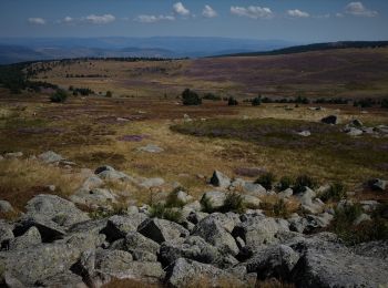 Randonnée Marche Mont Lozère et Goulet - Les prairies du col de Finiels et des monts Lozere - Photo