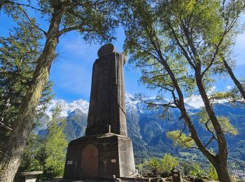 Randonnée Marche Les Houches - La Statue du Christ-Roi. - Photo