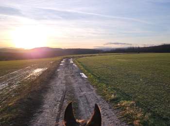 Trail Equestrian Anzeling - Wikiloc - Grande boucle de la Nied - Photo