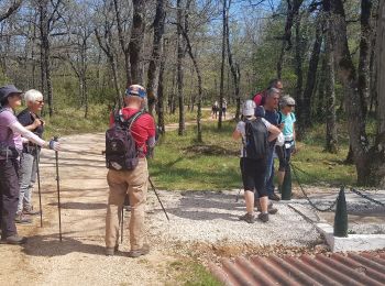 Trail Walking Signes - SIOU BLANC LA FEDE VALBELLE - Photo