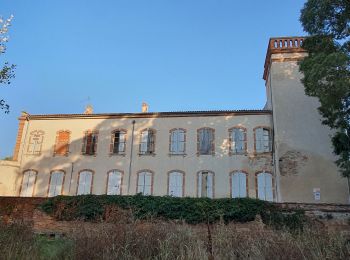 Percorso Marcia Pinsaguel - PINSAGUEL : sentier de la Confluence (24.08.2023) - Photo