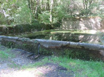 Randonnée Marche Lacapelle-Livron - Lacapelle-Livron : Chemin des anciens moulins, cascade pétrifiante - Photo