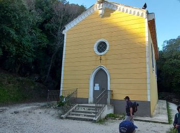 Tocht Stappen La Crau - Fenouillet Hyères - Photo