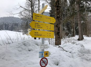 Trail On foot Gemeinde Söll - Wanderweg 55 - Kaisergebirge - Photo