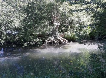 Tour Wandern Bouillé-Courdault - bouille - Photo