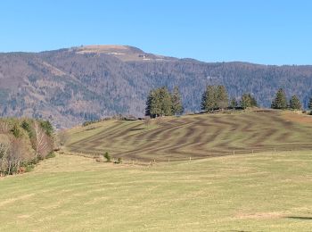 Randonnée Marche Husseren-Wesserling - DRUMONT - Photo