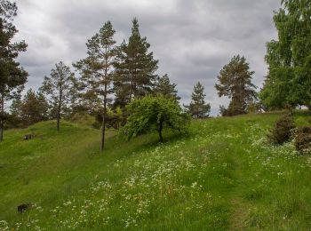 Tour Zu Fuß Alfeld - Rundweg Claramühle - Photo