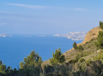 Excursión Senderismo La Ciotat - soubeyrannes  aller retour - Photo