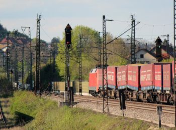 Tour Zu Fuß Treuchtlingen - Mühlenweg - Photo