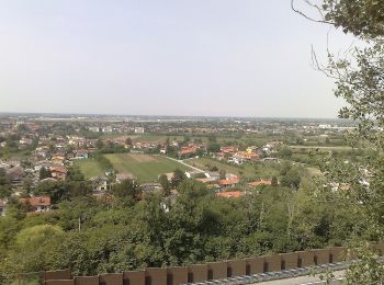 Trail On foot Fogliano Redipuglia - Sentiero CAI n. 80 - Photo