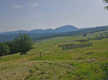 Tour Wandern Saint-Agnan-en-Vercors - Col du Rousset : Plateau de Beure 16km. - Photo