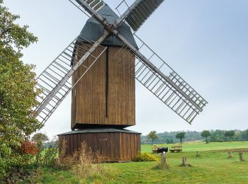 Percorso A piedi Cremlingen - Elm Rundwanderweg 25 - Photo