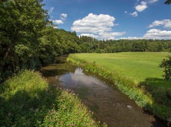 Trail On foot Wissen - Landfrauenweg #8 - Photo