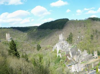 Randonnée A pied Manderscheid - Manderscheider Burgensteig - Photo