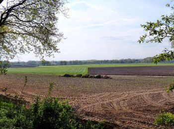 Tour Zu Fuß Ede - Meulunterenpad - Photo