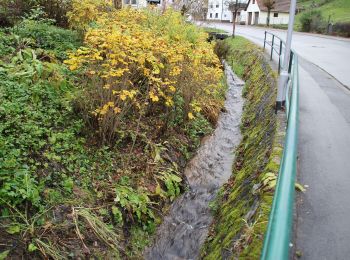 Trail On foot Oberzent - Haintal-Weg - Photo