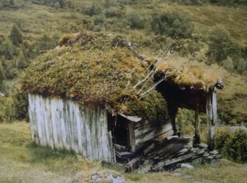 Tour Zu Fuß Zedlitz - Käseschenkenweg - Photo