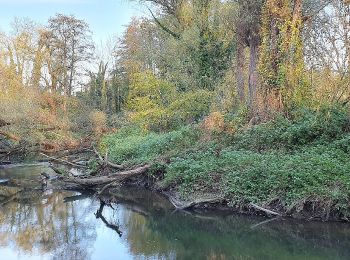 Tocht Te voet 's-Hertogenrade - Wasserweg Wurm - Photo