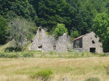 Randonnée Marche Saint-Sauveur-Camprieu - Abîme de Bramabiau - Camprieu - Abbaye du Bonheur  - Photo