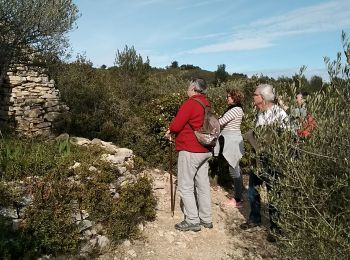 Excursión Senderismo Aramon - rando des capitelles - Photo