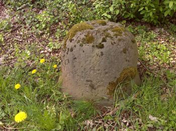 Randonnée A pied Olpe - Rhonardrundweg, IVV Rundwanderweg 3 - Photo