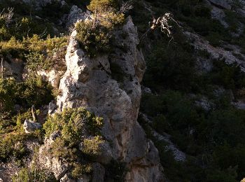 Randonnée A pied Phylé - Μονή Κυπριανού - Κιάφα Πίνη - Photo