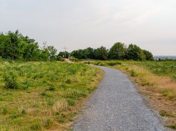 Tour Zu Fuß  - Winkel Schroersdyk - Waldwinkel - Photo