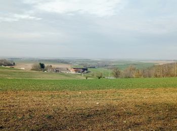 Tour Wandern Mareuil-en-Dôle - Mareuil-en-Dole du 01-03-2022 - Photo