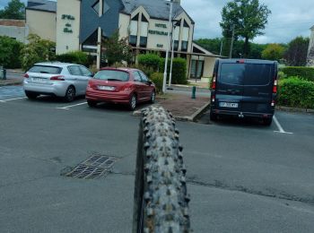 Excursión Bici de montaña Saumur - gr36 après Saumur reco 1 vers Lude - Photo