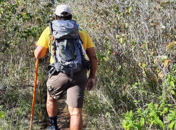 Percorso Marcia Les Anses-d'Arlet - Cap Salomon vers grand anse. - Photo