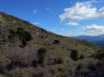 Tocht Stappen Moltifao - Sentier de l'Altare - Photo