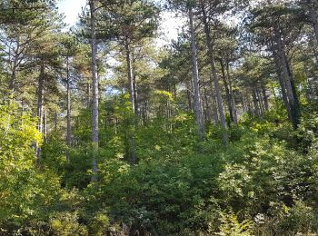 Tour Wandern Saint-Étienne-de-Gourgas - Larcho Parlatges - Photo