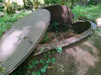 Tour Wandern Soursac - cascade du saut sali - Photo