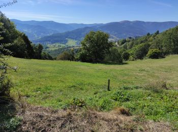 Randonnée Marche Hohrod - Hohrodberg après midi - Photo