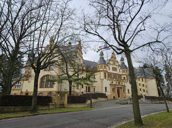 Randonnée Marche Longeville-lès-Metz - 🎅🎄 Noël à Metz - Photo