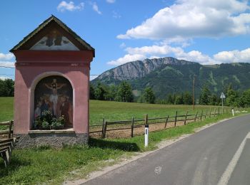 Percorso A piedi Fladnitz an der Teichalm - Wanderweg 1 - Photo