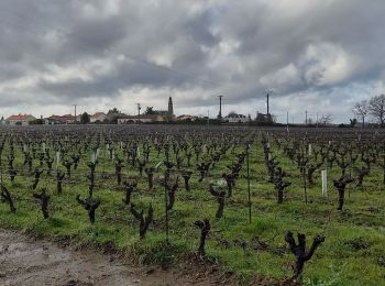 Percorso Marcia Vertou - vertou Monnieres - Photo