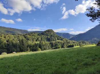 Trail Walking Goumois - Circuit du barrage de la Goule - Photo