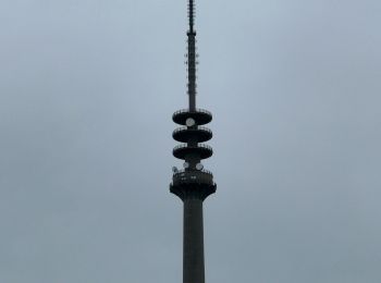 Excursión Senderismo Tubize - À travers le Pajote de Tubize à Leeuw Saint Pierre - Photo