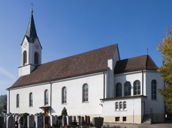 Tour Zu Fuß Wittnau - Wittnau - Buschberg - Photo