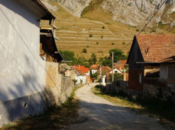 Tocht Te voet  - Rimetea - Colțești - Vidolm - Photo