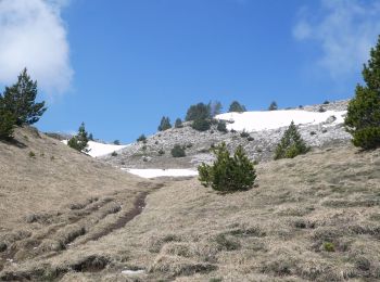 Randonnée Marche Châtillon-en-Diois - Vallée de Combau - TêteChevalière - Photo